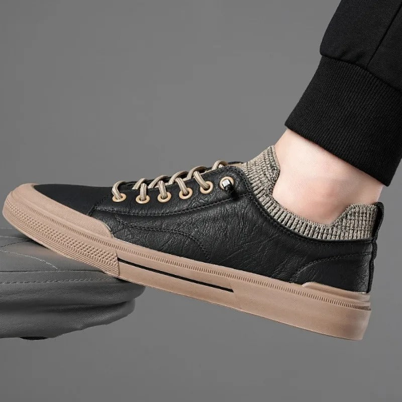 gid://shopify/MediaImage/24566352052318